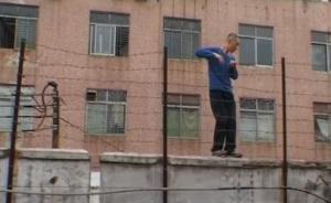 龍哥的江湖歲月