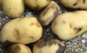 江西萬安學校營養(yǎng)餐有問題？當?shù)赝▓蠓Q未現(xiàn)學生吃壞入院現(xiàn)象