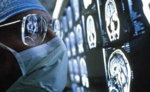 学者在人脑中发现新型脑细胞“玫瑰果神经元”，或为人类特有