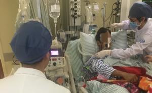 杭州两男子捅马蜂窝吃蛹被蜇50多下，1人死亡1人生命垂危