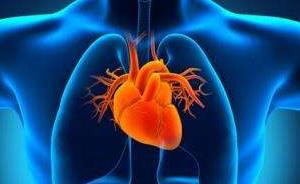 心血管疾病是中國人頭號死因，專家：預(yù)防、康復(fù)應(yīng)與治療并重