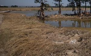 山東洪災災區(qū)畜禽無害化處理基本完成：處理廠全天滿負荷運營