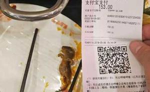 孕婦曝吃呷哺呷哺火鍋吃出老鼠，店家：無證據(jù)證明是餐廳過失