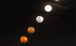 一亿粒米后有幼儿园又现奇葩作业：要求小朋友画30天月亮