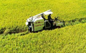 中央氣象臺(tái)：全國秋收秋種氣象服務(wù)啟動(dòng)