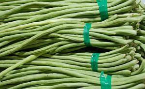 馬上評｜農(nóng)藥殘留超標(biāo)罰菜販5萬，然后呢？