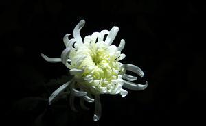 新華時(shí)評(píng)：“流量經(jīng)濟(jì)”風(fēng)潮下，大師遠(yuǎn)去留給我們什么