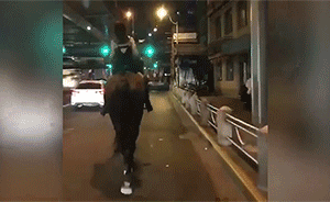 因在小區(qū)養(yǎng)馬，女子深夜在上海騎馬前曾被嚴(yán)肅教育