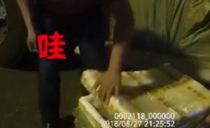 長途客車裝5箱活蛇，乘客被嚇懵