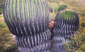 他是孤獨(dú)的“植物獵人”，每年行走距離可繞地球10圈