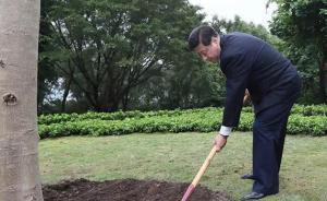 “跟着人民日报领悟新思想”之一：总书记种下“信心树”