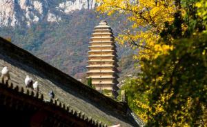 河南七家景區(qū)票價下調(diào)：少林寺降20元，云臺山降30元