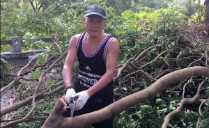 “山竹”過(guò)后，教師持菜刀上街砍樹(shù)清障