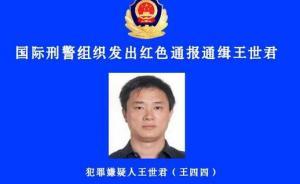 山西涉黑王世君被國際刑警通緝，當(dāng)?shù)胤z兩院有法警涉案被拘