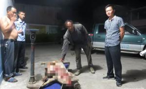 涼山州將出通知：游客不慎撞死活禽等按市價補償，防漫天要價