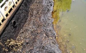 距长江两公里企业被举报直排危废，江苏丹阳成立专案组调查