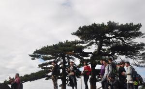 部分景區(qū)降門票被指誠意不足，“重點是以后漲價不容易了”