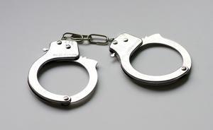 内蒙古：外逃新西兰4年的犯罪嫌疑人陈龙已回国投案