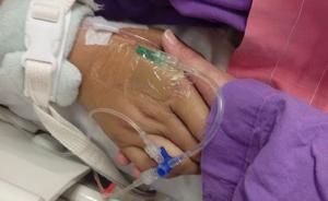 “山竹”襲港吹塌慈善狗場、場主重傷昏迷，網(wǎng)民送上祝福