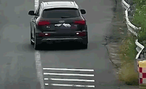 奥迪遮牌高速上倒车，风一吹24分没了