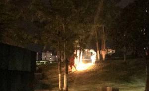 四川資陽5名散步市民遭馬蜂蟄傷，奶奶脫衣護(hù)孫女不治身亡