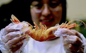 黄金周前夕市民自媒体为青岛大虾说话，餐饮企业发诚信公约