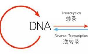 假結果或夸大結果，如何對待和處置科學研究的不可重復結果？