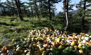 陜西：非法“鰲太穿越”屢禁不止，驢友被勸返上百人次