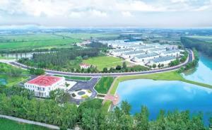 年產(chǎn)糧食6億噸以上，看看中國人是怎么吃的  