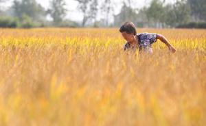 中紀委網(wǎng)站：3個關(guān)鍵問題，帶你了解中央脫貧攻堅專項巡視