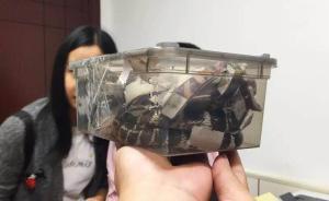 杭州25歲小伙疑似網(wǎng)購(gòu)劇毒銀環(huán)蛇自殺，被咬傷后自行求醫(yī)