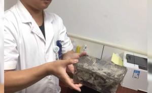 男子網(wǎng)購銀環(huán)蛇被咬， 仍未脫離危險期