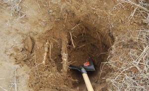 “活埋”欠債者還拍視頻殺雞儆猴，湖北一暴力討債團伙被打掉