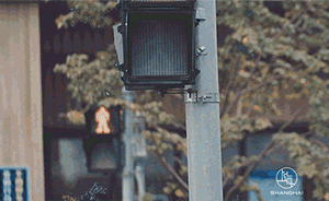 90秒活力上海：接地氣的日常生活體驗(yàn)無處不在的創(chuàng)新