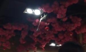 南寧一餐館天花板掉下大老鼠嚇跑客人，餐館：哪個地方?jīng)]老鼠