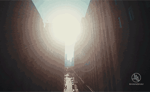 進博會“四部曲”為何刷屏：在上海，親歷了，你就懂