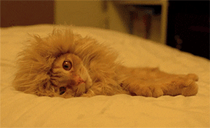 馬上評(píng)｜防水手機(jī)不防水，廣告宣傳不能習(xí)慣性“摻水”