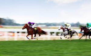 《海南省賽馬運(yùn)動發(fā)展規(guī)劃》（征求意見稿）基本完成