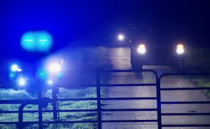 55歲美國女子槍殺4名華裔養(yǎng)子女后自殺