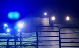 55歲美國女子槍殺4名華裔養(yǎng)子女后自殺