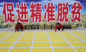 聯(lián)合國糧農(nóng)組織稱贊中國減貧成就：短時間內(nèi)大幅減少饑餓人口