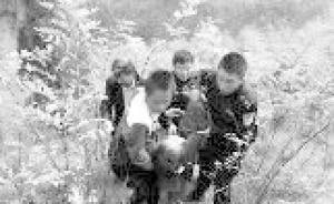 陜西男子與繼子爭吵后山中服毒，警民合力抬下山搶救