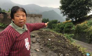 陌生人摘走直徑50厘米野蜂巢，四川宜賓七旬老人干活被蜇死