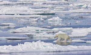 挪威国王夫妇率最大规模企业代表团访沪，力推海洋和经贸合作