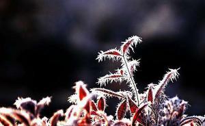 10月23日19時(shí)22分“霜降”：凄凄涼意升，絕美秋止符