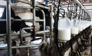 河北明确推动奶业全面振兴，省政府会议提及君乐宝乳业