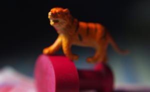 扶貧紀(jì)律宣傳標(biāo)語(yǔ)附有舉報(bào)電話，揪出潛藏十年的微腐敗