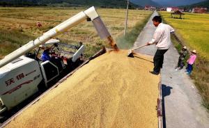 當(dāng)代中國(guó)的五種農(nóng)民類(lèi)型及其政策含義 