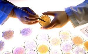 专家：微塑料对健康的影响研究不足，但需警惕其危害