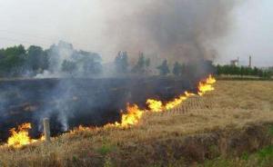 因秸稈禁燒工作不力，吉林雙遼市兩名村支書被免職